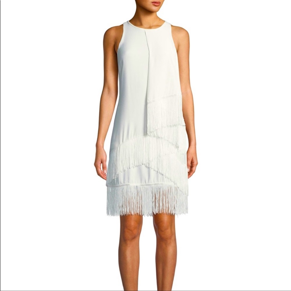 Brand new never worn Joie Amiyah fringe dress.